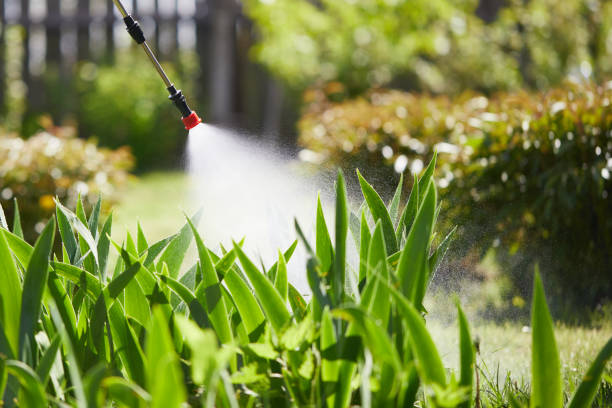 24/7 Emergency Mosquito Control experts in Nogales, AZ