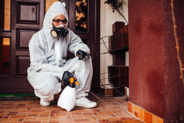Reliable Mosquito Control contractor in Nogales, AZ by Show Me Pest Control
